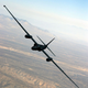 Image for article titled My, What Pretty, Razor-Thin Wings You Have
